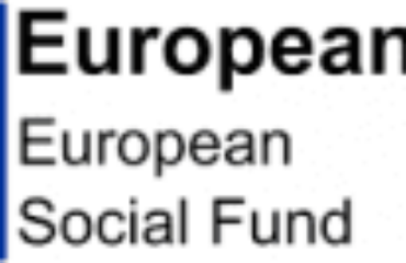 European Union European Social Fund logo