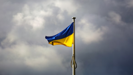 Ukrainian Flag