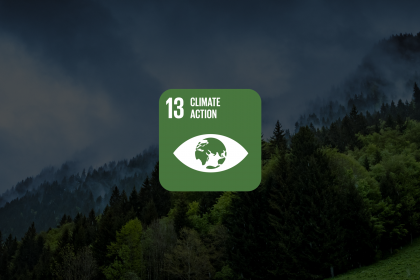 SDG 13 Graphic