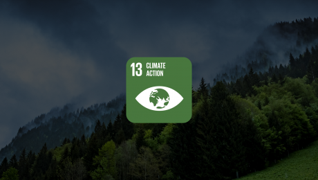 SDG 13 Graphic