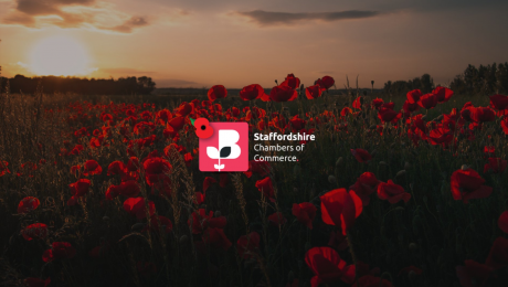 Staffordshire Chamber's Logo surrounded by poppies in a field for Remembrance Sunday