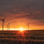 Picture of sunset and some wind turbines in an open grass field.