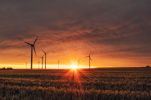 Picture of sunset and some wind turbines in an open grass field.